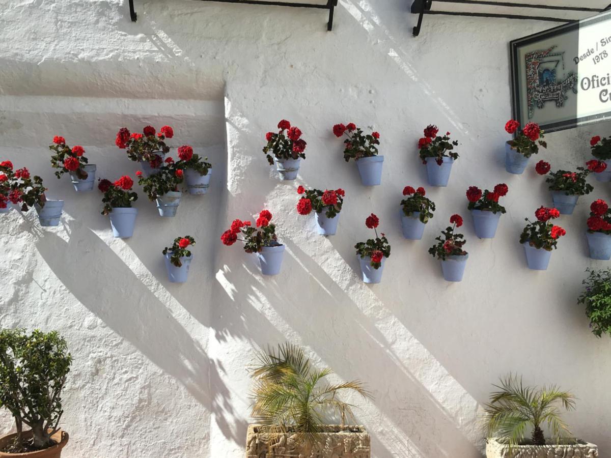 Paris Dream - Torremolinos Apartment Bagian luar foto